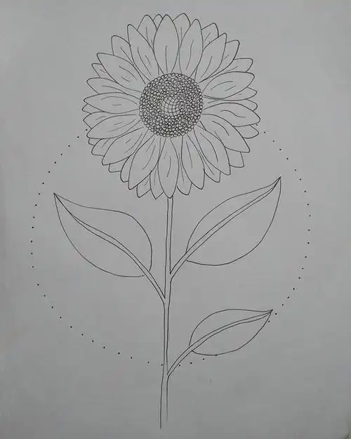 午时花图片简笔画(午时花图片简笔画涂色)