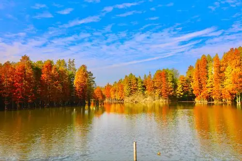 202011月29号尚湖拍