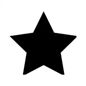 黑色五角星图标标签