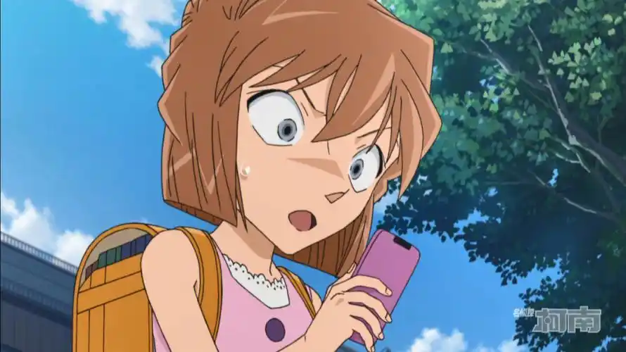 可盐可甜的哀酱