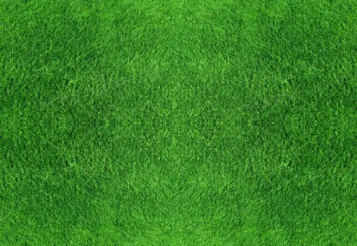 绿色草地海报背景七夕情人节