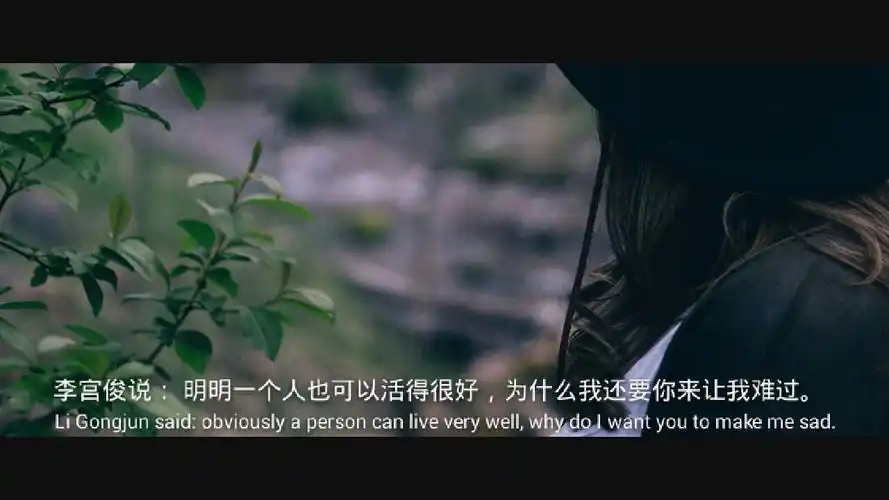 (李宫俊的诗:明明一个人也可以活得很好,为什么我还要你来让我难过.