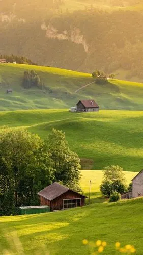 清新护眼瑞士美景图片手机壁纸_风景_手机壁纸下载_美桌网