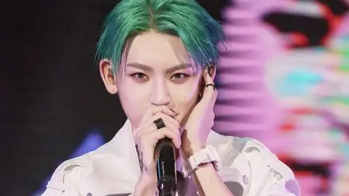 王琳凯素材 - 堆糖,美图壁纸兴趣社区