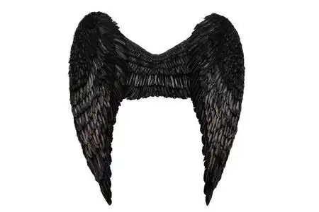 在白色的黑色羽翼光明会新世界秩序堕落天使的剪影诱惑光明会新世界