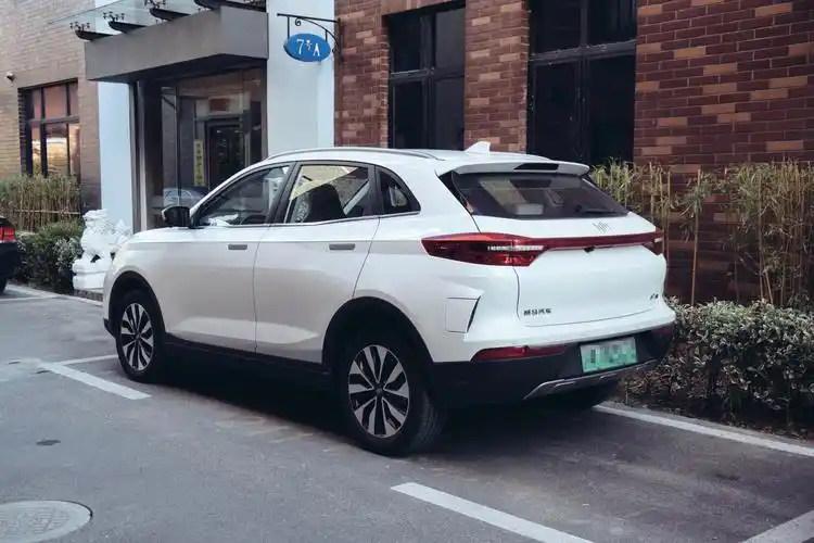 "电动爹"的2000公里使用报告 威马ex5 长测连载(二)