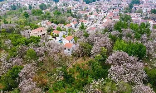 山东很富裕的土豪村,坐落于烟台,是"中国九大土豪村"之一|南山|土豪