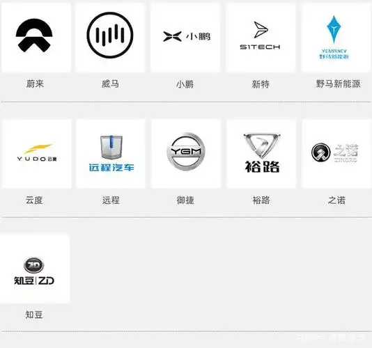 我们先放个大招,下面这些国产电动车品牌,你知道