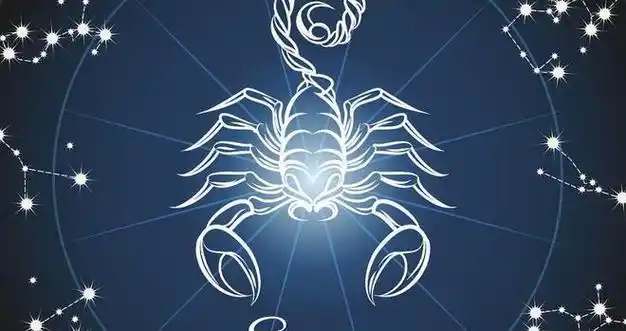 狮子座和金牛座配吗