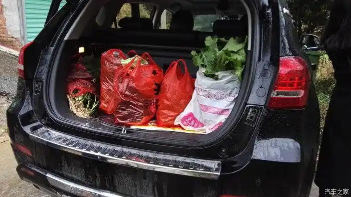 雨天不出工,回家摘土菜