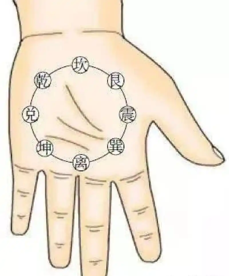 小儿推拿穴位:内八卦 位置:在手掌面,以手心为圆心,以圆心至中指指根