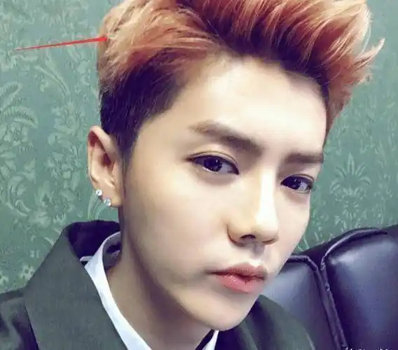 鹿晗出道生图火了关掉美颜如同卸妆暴露出真实颜值