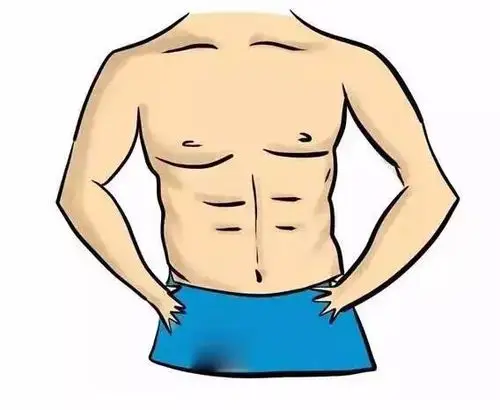 15% 能隐约看到腹肌分界线的线条