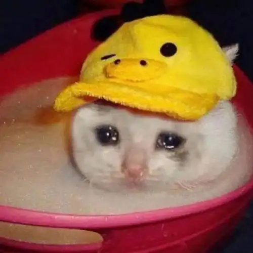 吹爆今天的表情包 ω ~~拿图吱声~~ 不点赞,没动力更新了