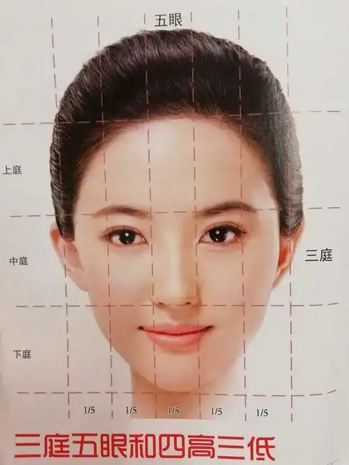 "三庭五眼"和"四高三低"想必应该听过吧,这简单的八个字基本上就囊括