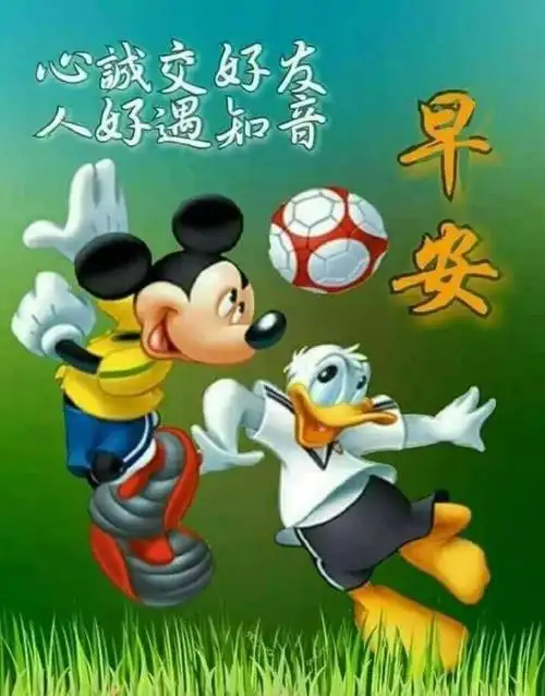 早安心语最新9月漂亮早上好问候语 问候早安图片配文字