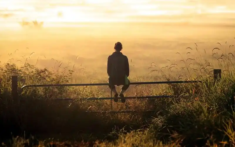 描写安静的句子有哪些形容环境安静的唯美句子