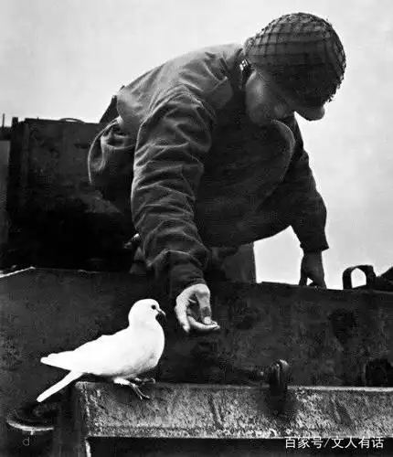 一组寓意深长的黑白照片,令人感触!