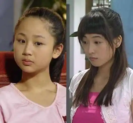 2006年的时候,宁丹琳顶替杨紫出演了《家有儿女》饰演"夏雪"这个角色.