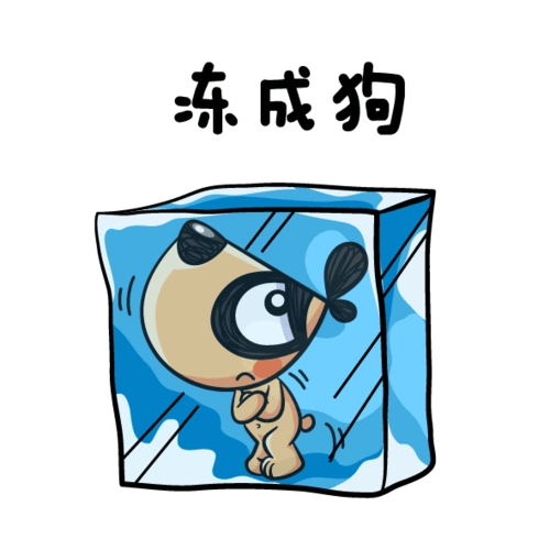 冻成狗搞笑图片_天冷你冻着了吗