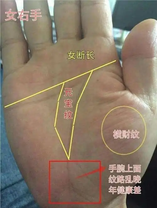 的部位,同时也是要做预防灾厄和提高的部位生命线是西洋手相学的叫法