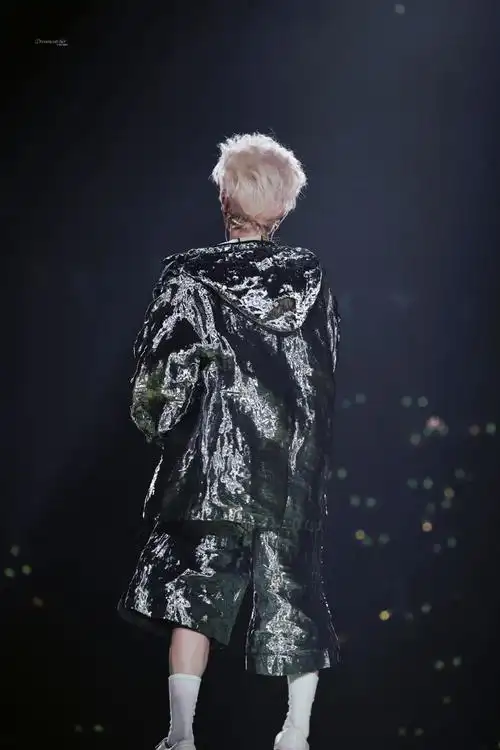 鹿晗演唱会背影图