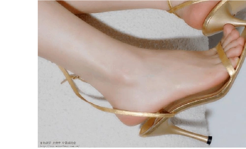 难得的好素材,各色美丽的脚