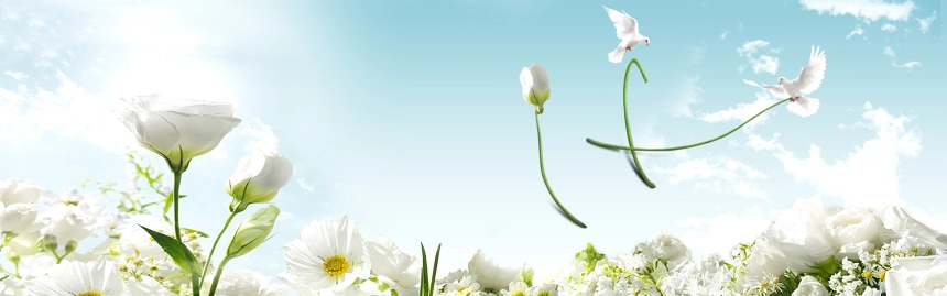 简约小清新背景图