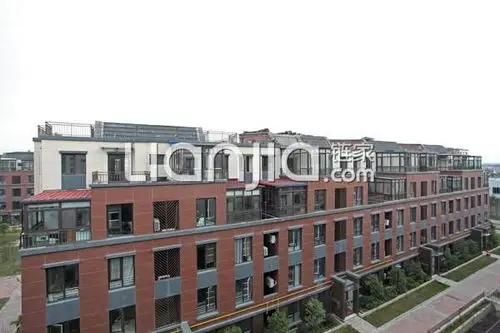 福山外国语小学,朗诗未来树,值得买!