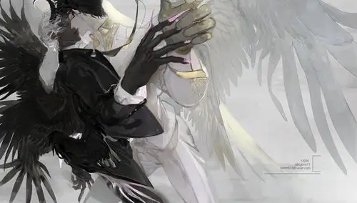 天使与恶魔,真的好绝 twi:tgbnn71 - 堆糖,美图壁纸兴趣社区