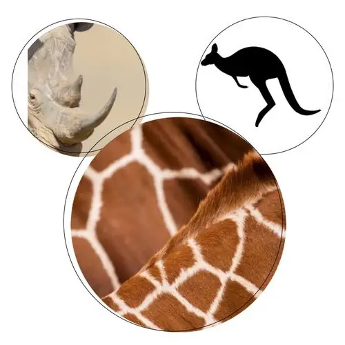 永红幼儿园小一班 疫情中的美——探索动物世界,拥抱美好自然