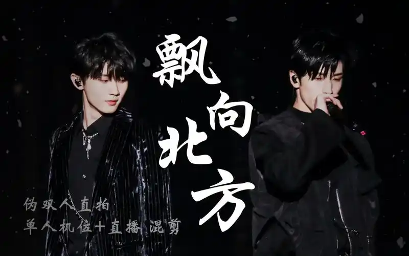 活动作品马嘉祺严浩翔飘向北方伪双人舞台直拍