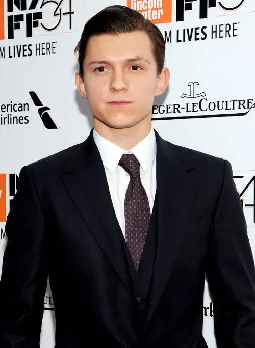 简介:汤姆·赫兰德黑色西装帅气活动图片,分享一组汤姆·赫兰德图片给