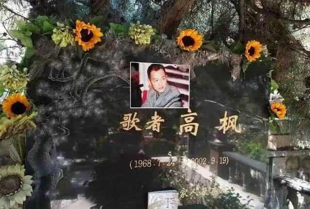 他却突然因病住院了,仅仅10天的时间,年仅34岁的高枫便英年早逝.