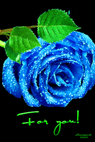 320_480竖版 竖屏gif 动态图 动图