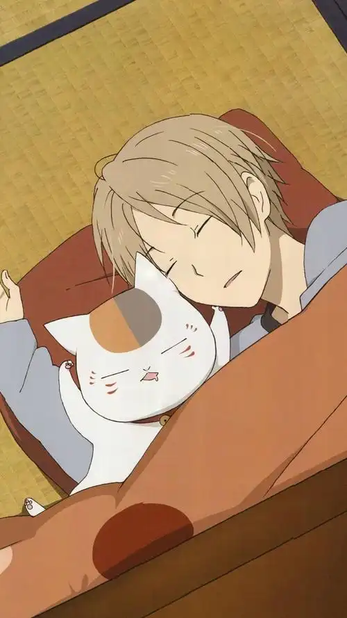 求这张夏目友人帐的图啊!