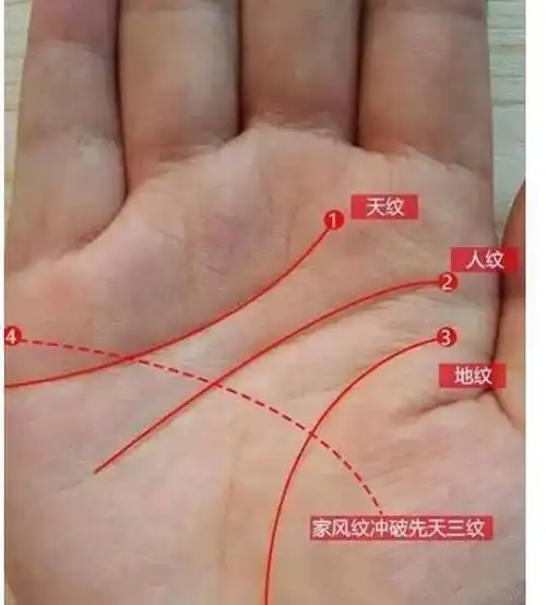 生命线,智慧线的阻碍,一直延伸到地纹(生命线),这主要象征由婚姻问题
