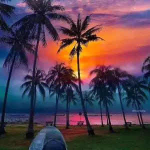 简约意境美翻了唯美风景头像8_微信头像