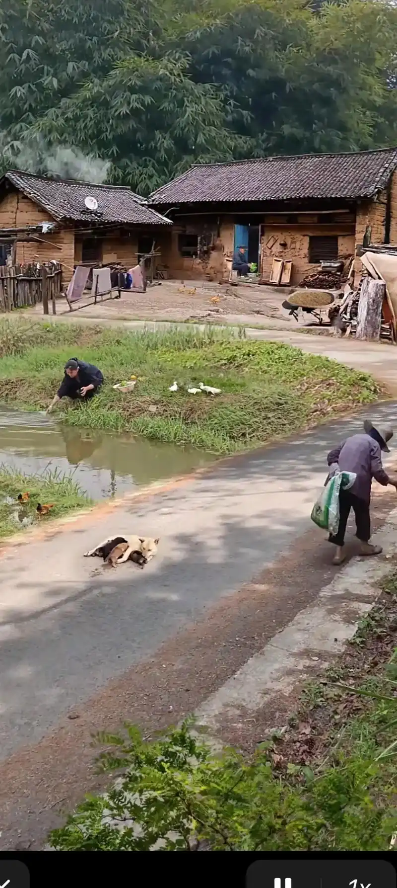 村里的菲儿老公去年出意外走了,她就回娘家来了.