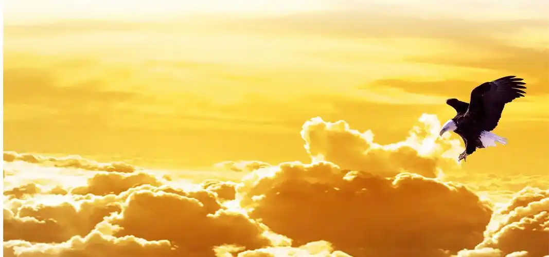 管弦乐大气豪迈专题片宣传片背景音乐