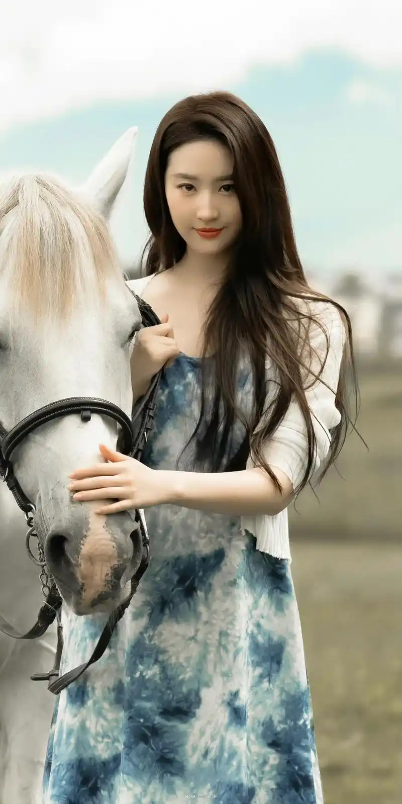 刘亦菲许红豆壁纸