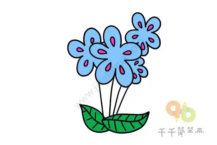 蓝花楹的花简笔画