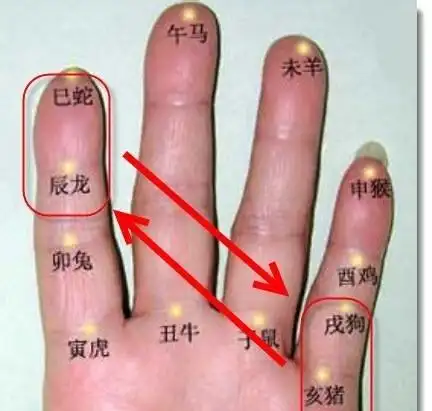 如何通过手指快速计算年龄和属相