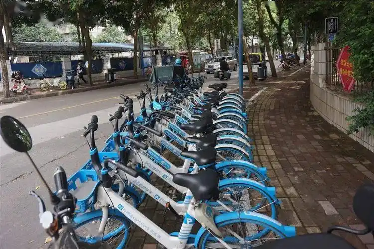 在南宁街头,共享单车整齐停放在划线区域.王媛 摄