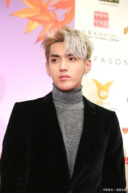 吴亦凡关联公司仍拖欠数百万税款