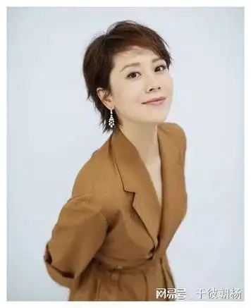 海清中年女演员的困境与机遇