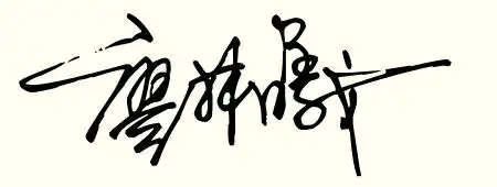 情帮我设计艺术签名一笔写 名字是廖林曦