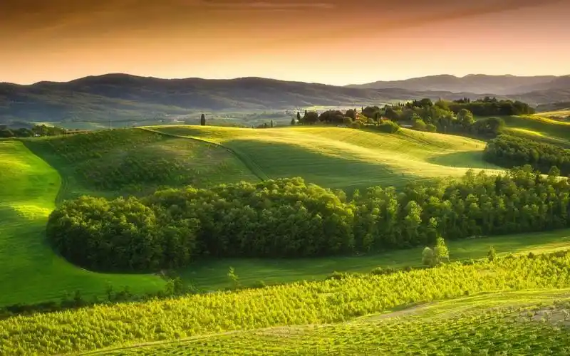 清新意境风景素材_小清新的唯美意境