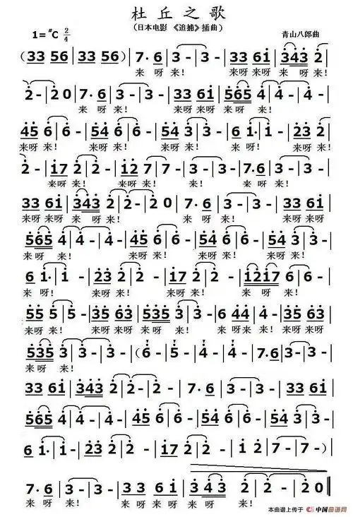 电影《追捕》的主题曲是《杜丘之歌》,由hachiro aoyama作词,作曲