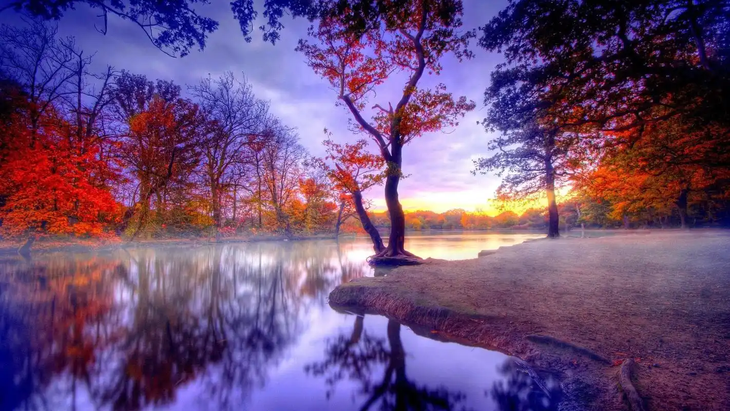 秋天枫叶唯美意境电脑桌面壁纸